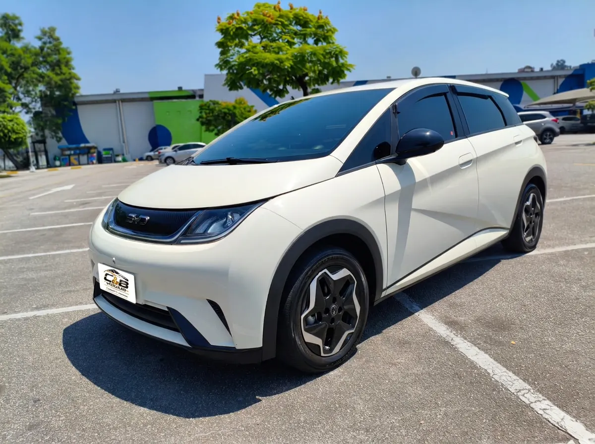 BYD Dolphin